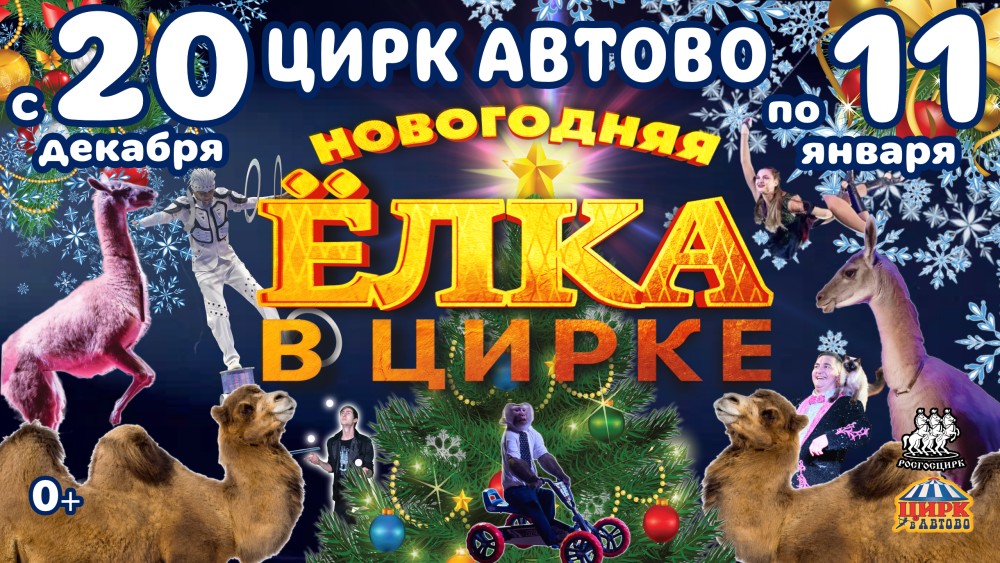 Елка в цирке